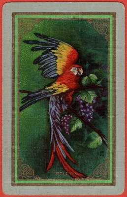 Polly ~ (c. 1927) Art Deco Parrot Congress 606 Antique Linen USNN Playing Card