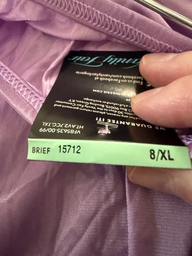 Vanity Fair Brief Panty Nylon 15712 English Lilac Purple Tagless Macys NWT 8 XL - Picture 5 of 7