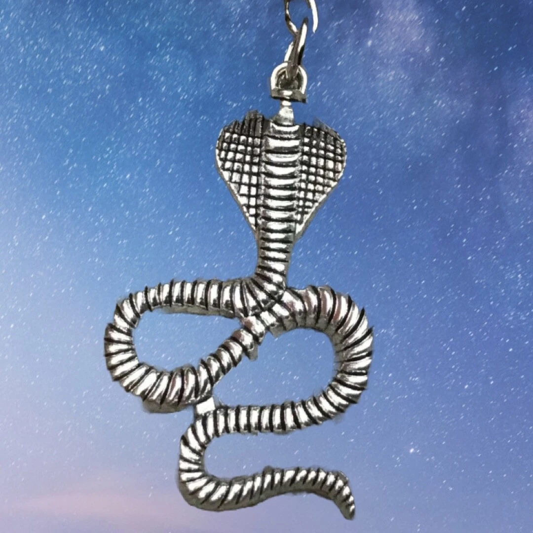 Snake keyring sale