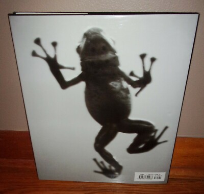 アート・デザイン・音楽 AQUATICS by HENRY HORENSTEIN Aquatics by Henry Horenstein (2001, Hardcover) for sale