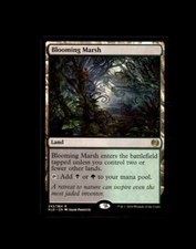 Kaladesh #243 Blooming Marsh