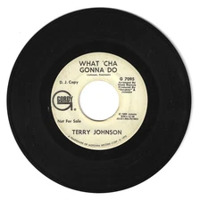 NORTHERN SOUL 45  TERRY JOHNSON WHAT 'CHA GONNA DO ON GORDY  VG+ ORIGINAL PROMO