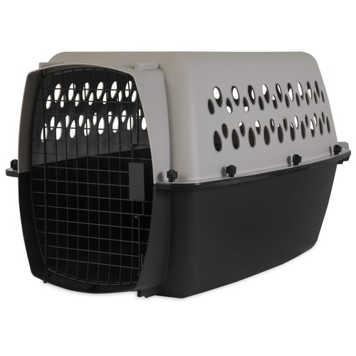 Vibrant Life Pet Kennel Small/Medium 26" Dog Crate, Plastic Travel Pet Carrier