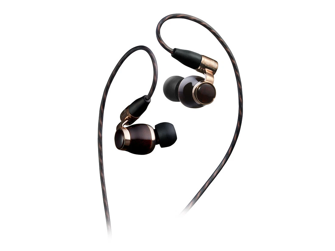 Victor JVC HA FW10000 Wood Hi Res Canal Type Earphones 10th