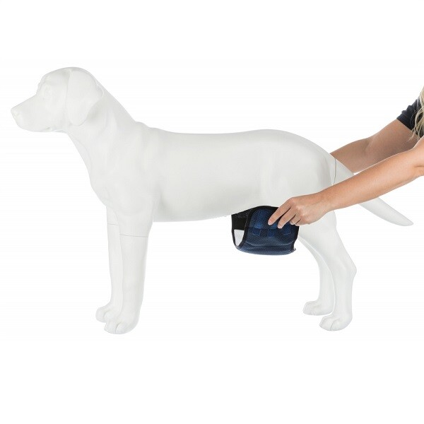 Trixie Male Dogs Incontinence Belly Band With 3 Absorbant Pads Medium