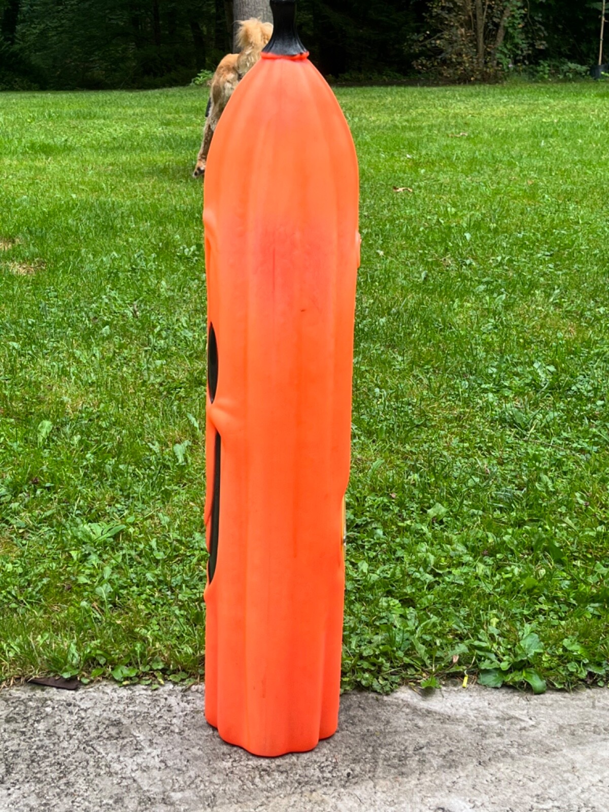 Bild 6 von 10