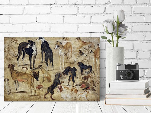Sketches of Dogs Jan Brueghel mounted canvas print ready to hang - Picture 6 of 9