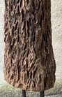 Bild 7 von 8