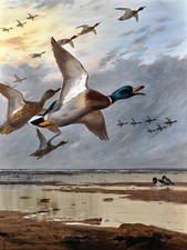 Ducks Flight Bird by A. Thorburn Tile Mural Kitchen Backsplash Marble Ceramic