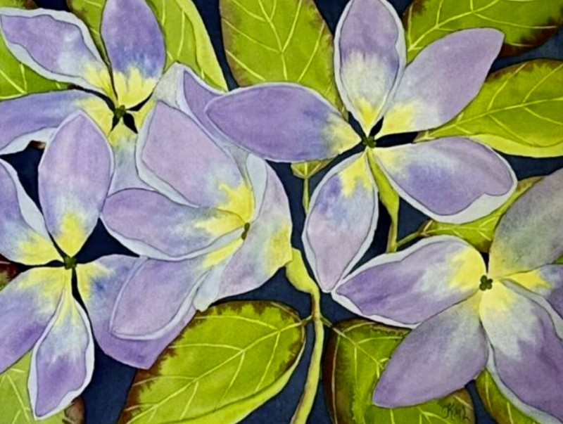 PAINTING WATERCOLOR 11X14 AND WHITE DOUBLE MAT 16X20 FLOWER PLUMERIA PURPLE BLUE