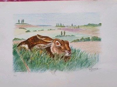 GENEVOIX Maurice- Lithographie originale signée- Le Lievre  - Photo 1/4