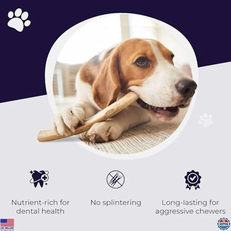 Cuernos de alce para perros Devil Dog Pet Co., medianos 5"+, paquete de 1, grado A de larga duración Foto 4 de 4