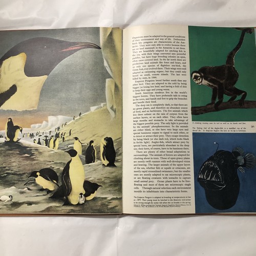 Vintage book The Story of Evolution Sir Julian Huxley rare 1958 full color - Picture 9 of 11