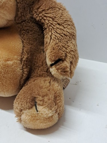 APPLAUSI Egbert peluche bambino Knickerbocker vintage orso ventre 1981 7" - Foto 5 di 19