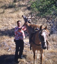 Vintage Stereo Realist Photo 3D Stereoscopic Slide HUNTER w Deer on Horseback