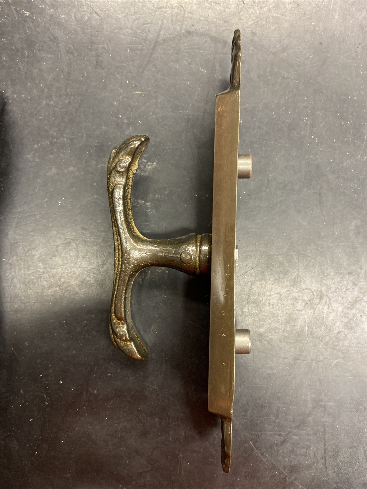 Cremonese rossella / flora gratz con bussole