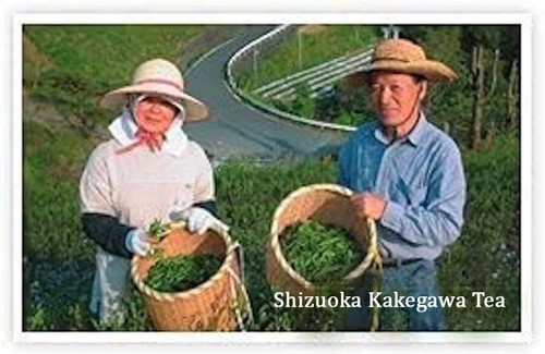 Abundante té japonés al vapor profundo - té Kakegawa de Sajimoto (200 g × 3 bolsas) - Imagen 8 de 8