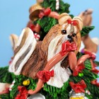 Bild 8 von 24