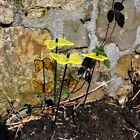 Bild 16 von 30