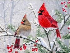 FHBUBPUP Diamond Art Painting Kits for Adults, Cardinal Birds Diamond Art Kits f