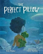 The Perfect Pillow - Hardcover, by Pinder Eric - Good b