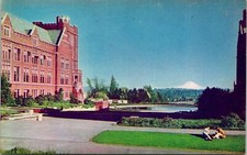 Seattle WA University of Washington Postcard unused (19042)