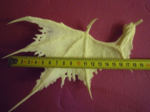 Modelkit: Demon / Beast Wings 1/6 Resin Figur Fantasy Manga / Anime - Bild 4 von 4