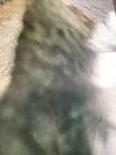 Bild 9 von 9