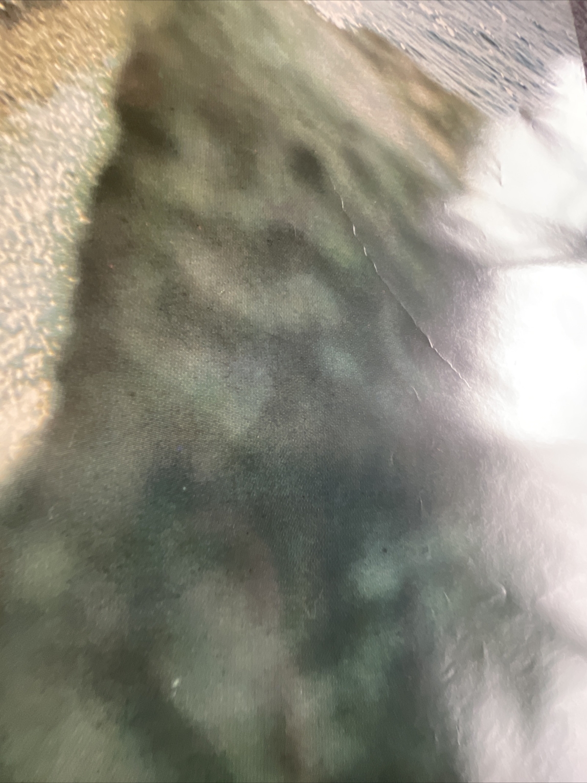 Bild 9 von 9