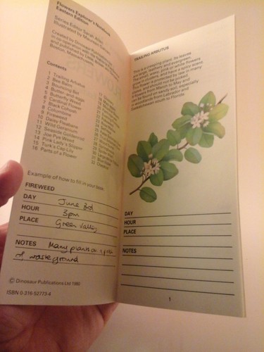 Explorer's Notebook WILD FLOWERS EASTERN EDITION 1980 Dinosaur Pub. Guide Book - Picture 3 of 5