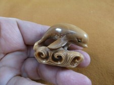 (tb-whal-35) baby Beluga Whale Tagua NUT palm figurine Bali love whales