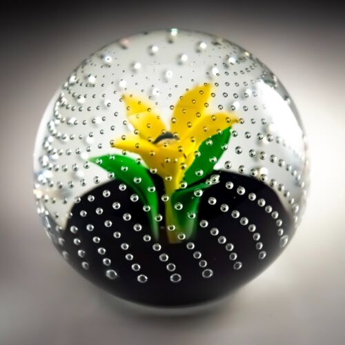 Caithness Glas Lampwork Briefbeschwerer Blume im Regen Bullicante Floral Bubble - Bild 9 von 13