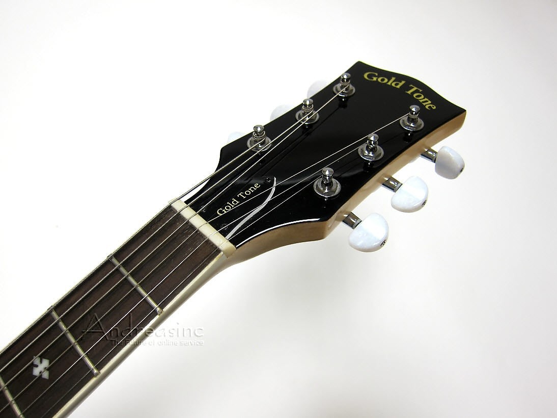 GOLD TONE 6-STRING ELECTRIC BANJO GUITAR RESONATOR BANJITAR