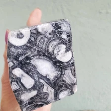 Crinoid Fossil Turritella Jasper Crystal Freeform Block 628 Grams