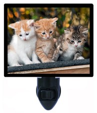 Cat Decorative Photo Night Light, The Next Generation