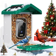 Smart Bird Feeder with Camera, AI Bird Species Identification Solar Powered Pane