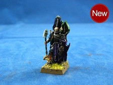 Warhammer painted Dara Elf Dreadlord