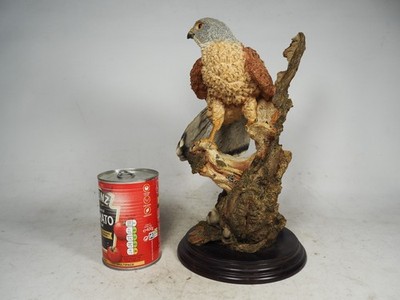 LARGE Vintage Country Artists Bird of Prey  ''Kestrel''  On Wooden Plinth