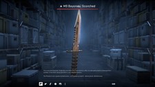 CS:GO/2 SKIN