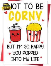 Funny Valentines Day Card,Valentines Day Cards Gifts for Him Her,Valentines Day