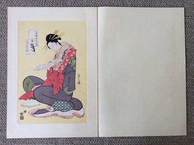 日本山草図譜 Bunsai Ioki 日本山草図譜 Bunsai Ioki
