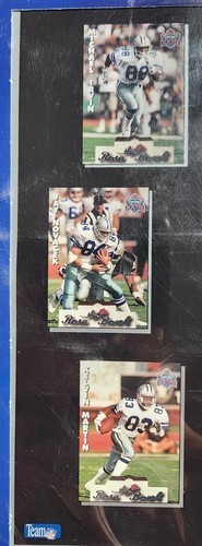 DALLAS COWBOYS 1993 SUPER BOWL CHAMPIONS Limited Edition #12,747 of 35,000 - Picture 7 of 12