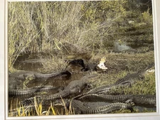 art work original 11"x14" picture inside 16"x20" white 2x mat