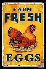 FARM FRESH EGGS FUNNY ALL WEATHER METAL SIGN 8"X12" CHICKEN COOP KITCHEN DECOR