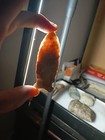 Authentic Missouri Early Archaic Osceola Point Indian Arrowhead Artifact — photo 1