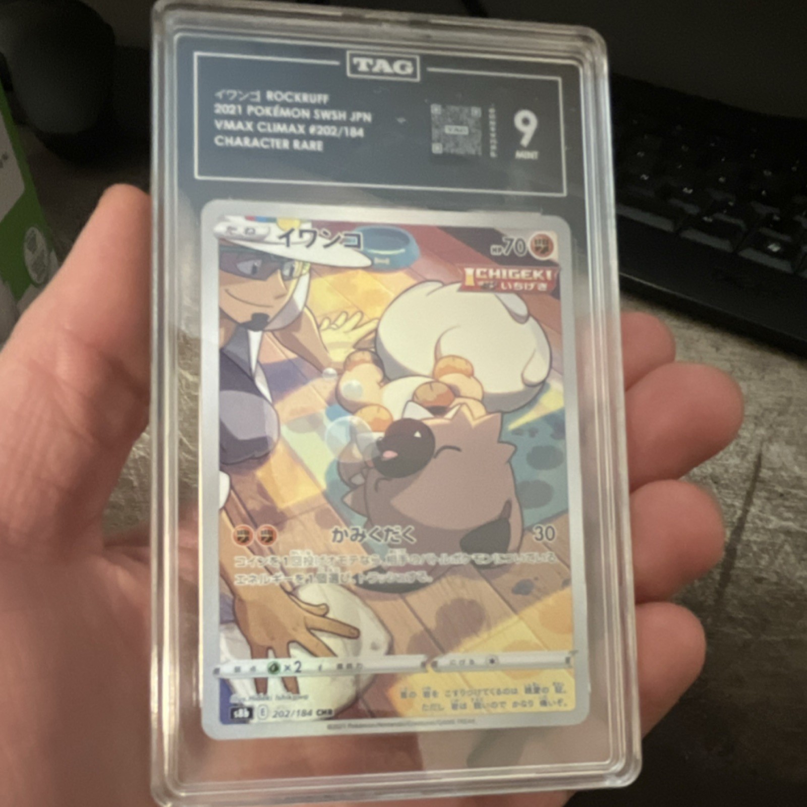 Pokémon Rockruff VMAX Climax 202/184 Character Rare TAG Graded 9 Single Card