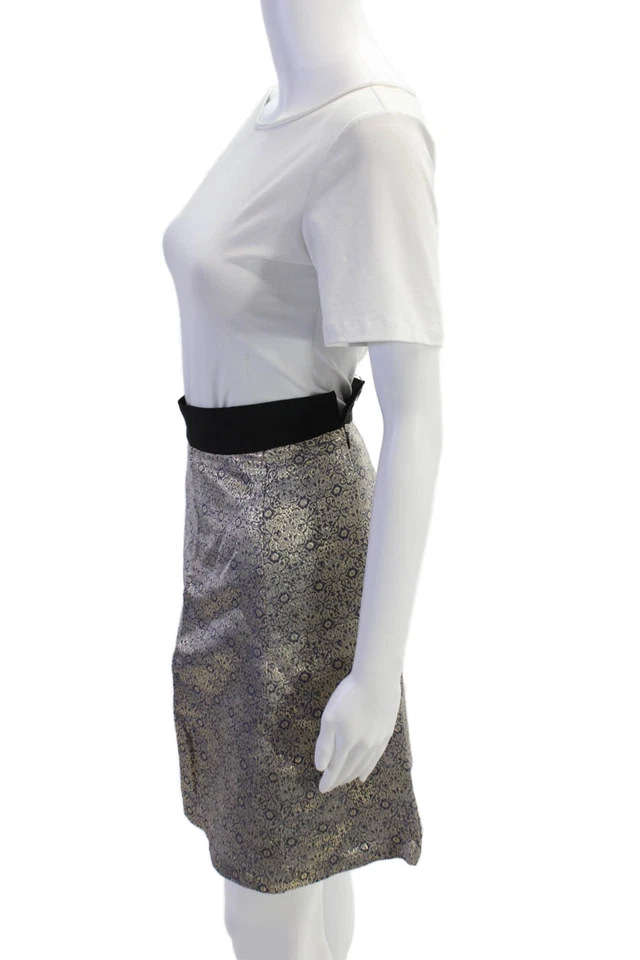 Falda Narciso Rodriguez For Design Nation para mujer línea A dorada azul talla 8 Foto 2 de 4