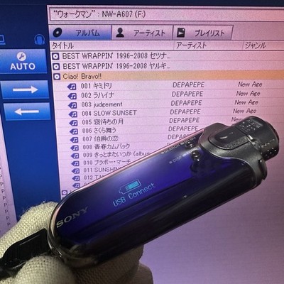 New Battery NW-A607 Sony Portable Media Player Walkman 1 GB Violet
