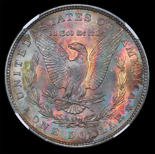 1878-7TF REV OF 79 NGC MS63 MORGAN $ - CAC MATERIAL - RAINBOW TONED (VIDEO)