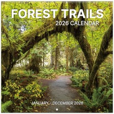 2026 Wall Calendar 12" x 24" Open Thick Paper for Planning or Organizing